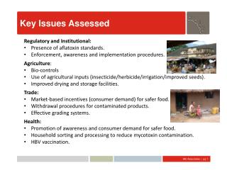 Key Issues Assessed