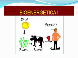 BIOENERGETICA I