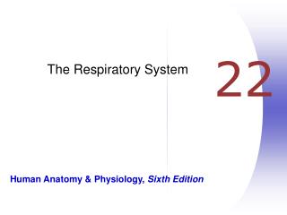 The Respiratory System