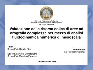 Tutor: Ch.mo Prof. Renato Ricci Coordinatore del Curriculum: Ch.mo Prof. Massimo Paroncini