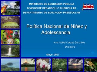 MINISTERIO DE EDUCACIÓN PÚBLICA DIVISIÓN DE DESARROLLO CURRICULAR