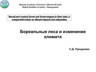 Бореальные леса и изменение климата С.Д. Пунцукова