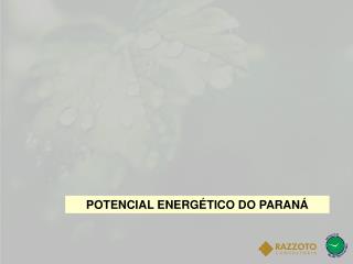 POTENCIAL ENERGÉTICO DO PARANÁ