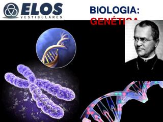 BIOLOGIA: GENÉTICA