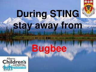 During STING stay away from Bugbee
