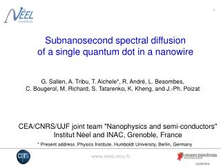 Subnanosecond spectral diffusion of a single quantum dot in a nanowire