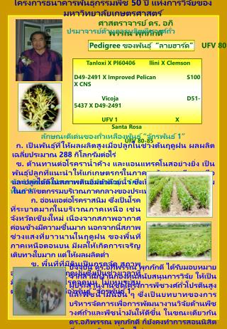 ข้อจำกัดบางประการสำหรับพันธุ์ “จักรพันธ์ 1”