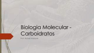 Biologia Molecular - Carboidratos