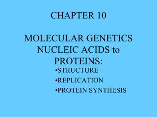 CHAPTER 10 MOLECULAR GENETICS NUCLEIC ACIDS to PROTEINS: