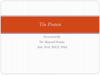 The Protein