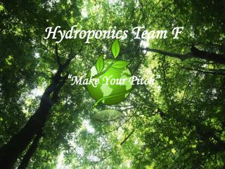 Hydroponics Team F