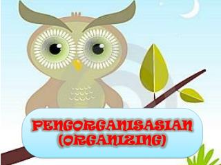 PENGORGANISASIAN (ORGANIZING)