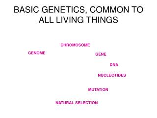 BASIC GENETICS, COMMON TO ALL LIVING THINGS