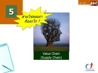 Value Chain (Supply Chain)