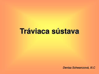 Tráviaca sústava