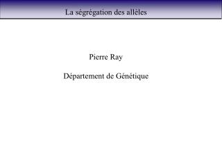 La ségrégation des allèles