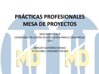 PRÁCTICAS PROFESIONALES MESA DE PROYECTOS