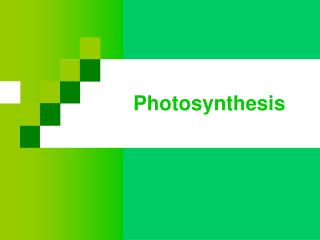 Photosynthesis