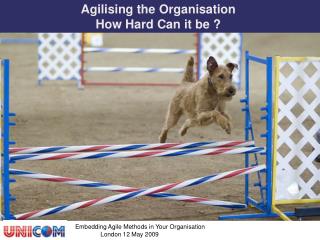 Agilising the Organisation How Hard Can it be ?
