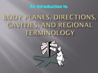 Body Planes, Directions, Cavities, and Regional Terminology