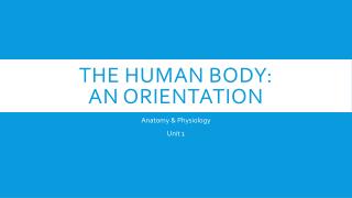 The Human Body: An Orientation