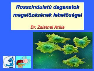 Rosszindulatú daganatok megelőzésének lehetőségei Dr. Zalatnai Attila