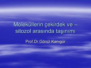 Moleküllerin çekirdek ve –sitozol arasında taşınımı