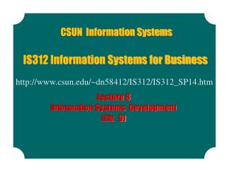 IS312 Information Systems for Business