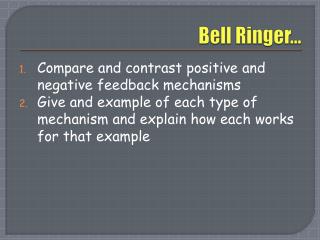 Bell Ringer…