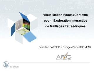 Visualisation Focus+Contexte pour l’Exploration Interactive de Maillages Tétraédriques