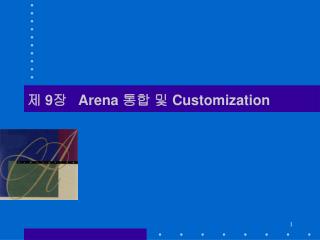 제 9 장 Arena 통합 및 Customization