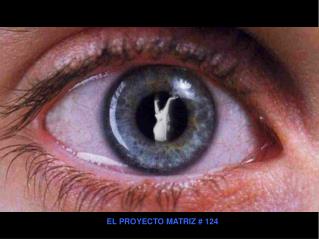 EL PROYECTO MATRIZ # 124