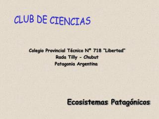 Colegio Provincial Técnico Nº 718 “Libertad” Rada Tilly - Chubut Patagonia Argentina