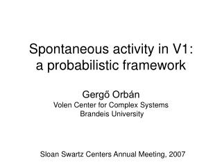 Spontaneous activity in V1: a probabilistic framework
