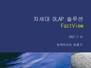 차세대 OLAP 솔루션 FactView