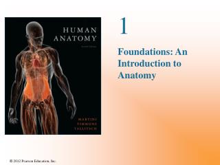 1 Foundations: An Introduction to Anatomy