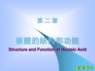 第 二 章 核酸的结构和功能