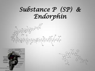 Substance P (SP) &amp; Endorphin