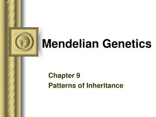 Mendelian Genetics