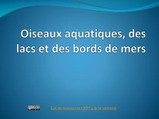 Oiseaux aquatiques, des lacs et des bords de mers