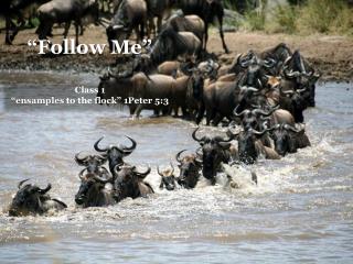 “Follow Me”