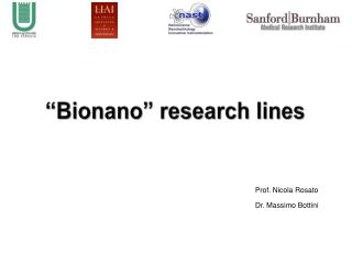 “ Bionano ” research lines