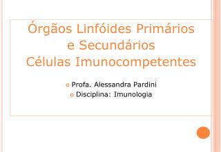 Órgãos Linfóides Primários e Secundários Células Imunocompetentes Profa. Alessandra Pardini