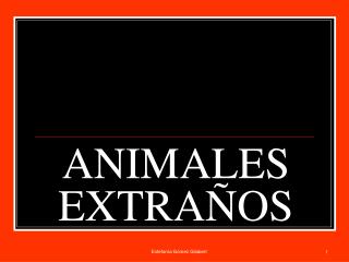 ANIMALES EXTRAÑOS