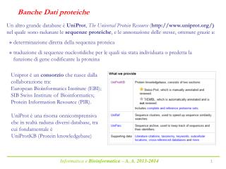 Informatica e Bioinformatica – A. A. 2013-2014