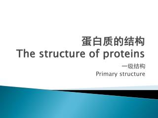 蛋白质的结构 The structure of proteins