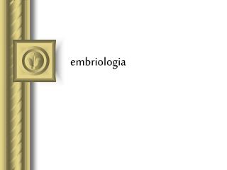 embriologia