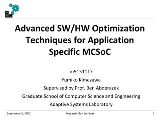 Advanced SW/HW Optimization Techniques for Application Specific MCSoC