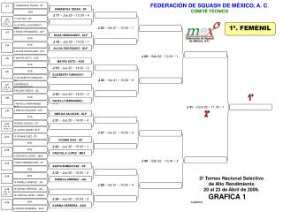 FEDERACIÓN DE SQUASH DE MÉXICO, A. C . COMITÉ TÉCNICO