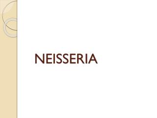 NEISSERIA